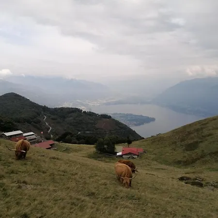 Paula* Guest house Locarno