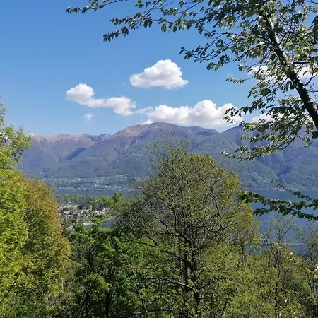 Paula* * Locarno