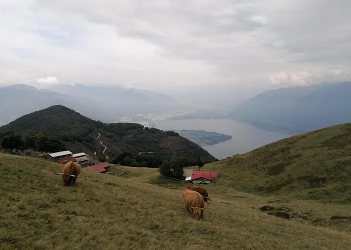 Paula* Guest house Locarno