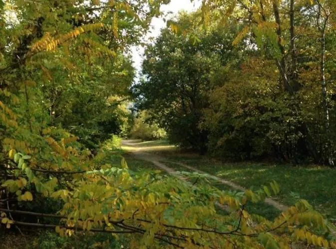 Paula* Vendégház *